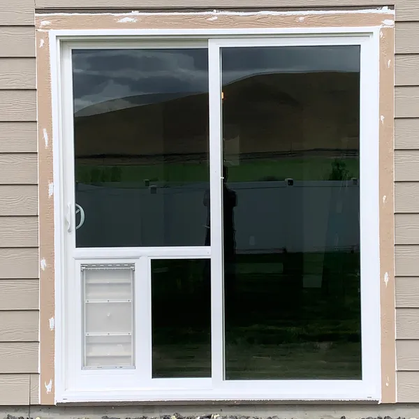 Pet door